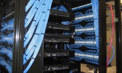 Featured image of post Yandex.Disk to Immich